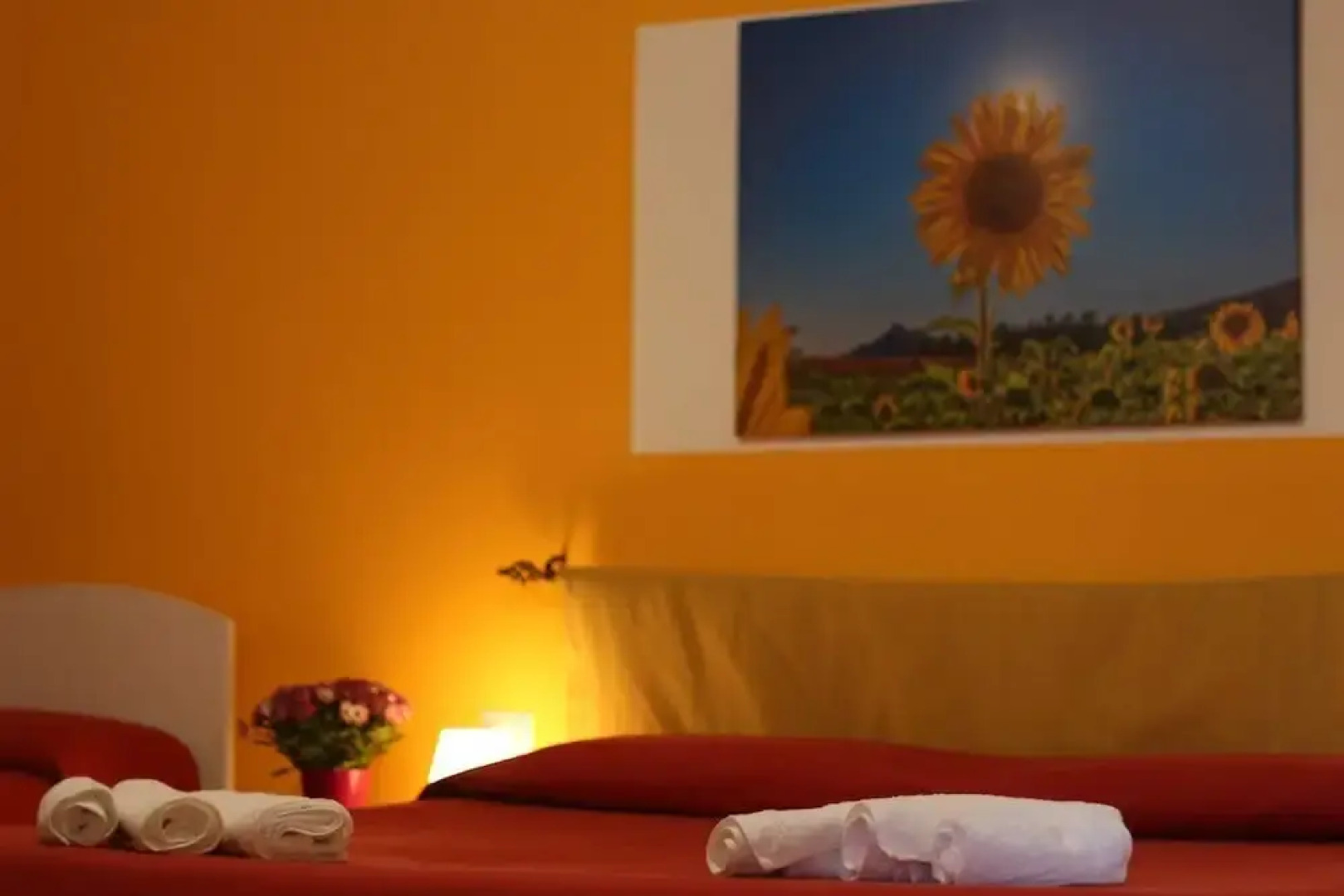 Bed and Breakfast Fiori e Limoni