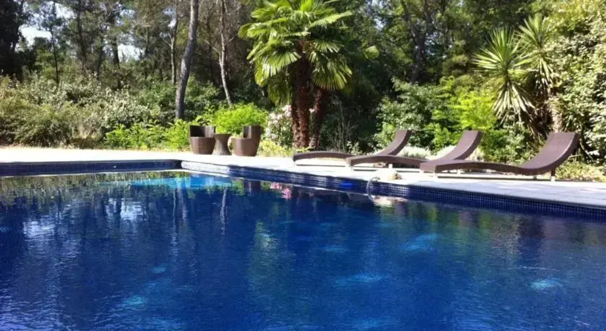 Provence Secrète - Entre Vigne & Pinède