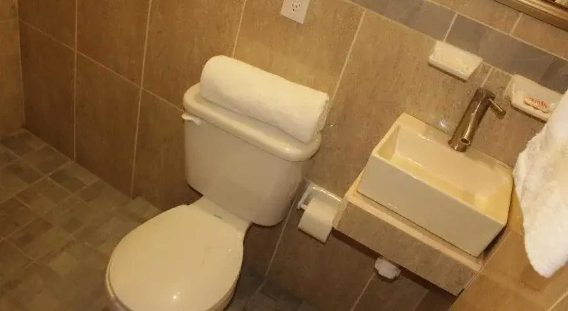 Apartamentos Magnolias