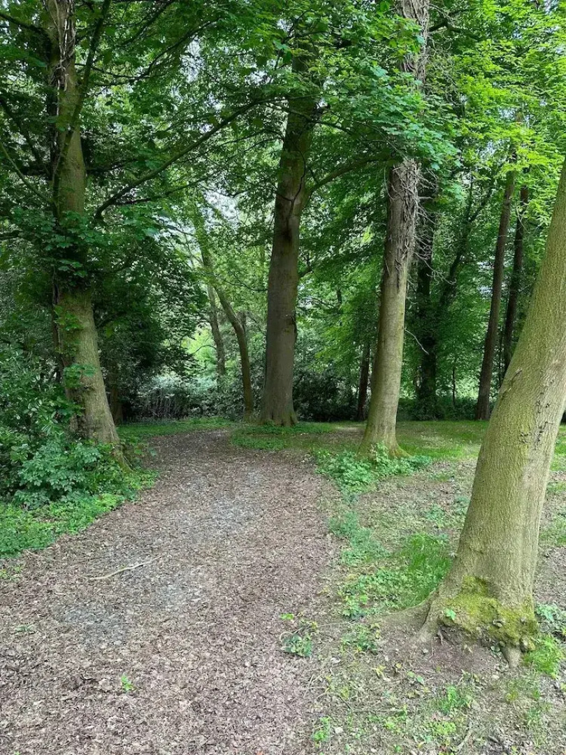 Captivating 5-bed Apartment Near Sion Mills