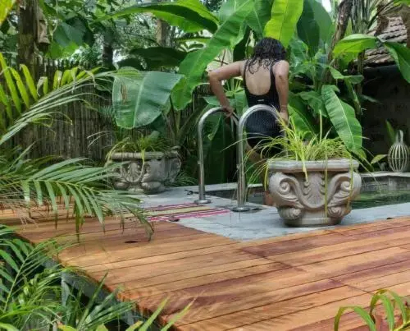 Sunsets and Palm Trees