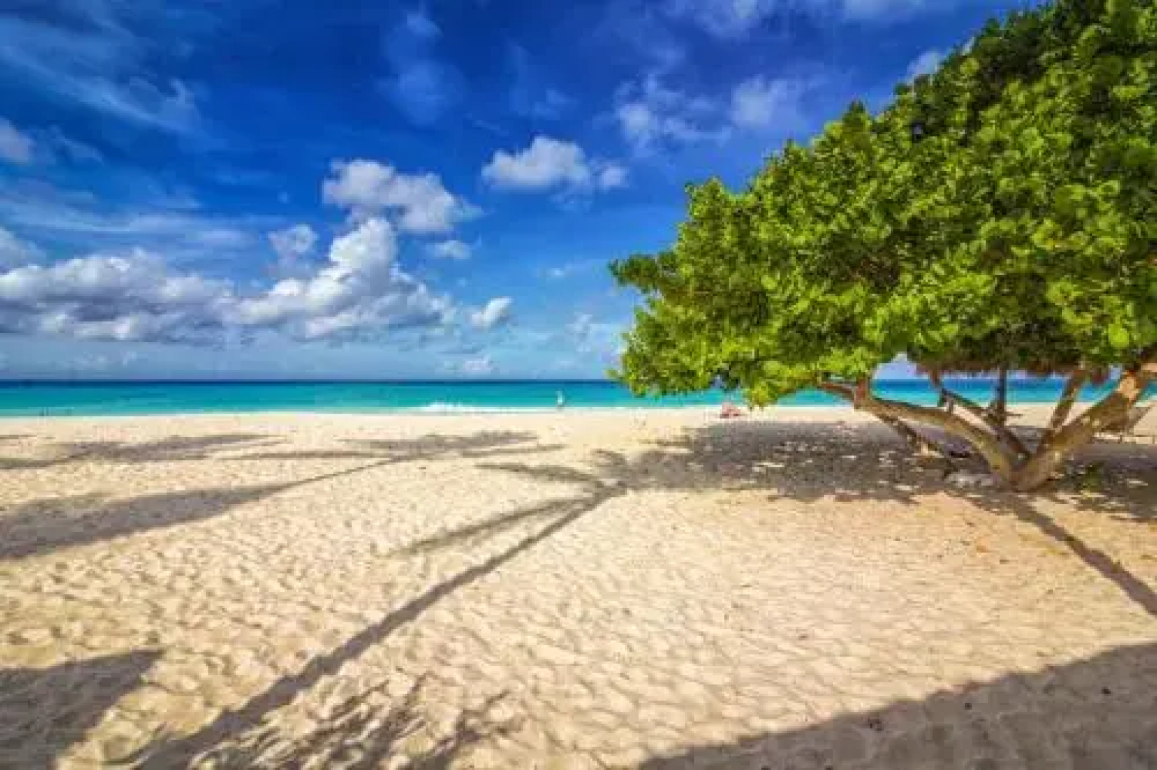 Only 350 yards from Eagle beach! Breakfast included!