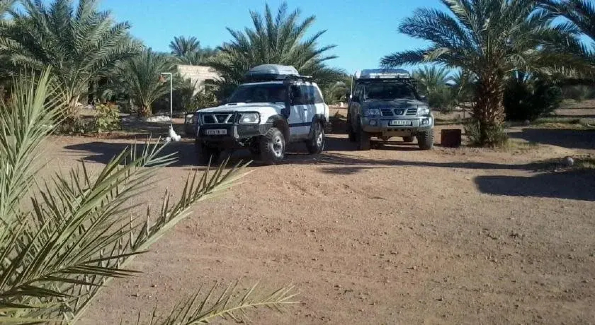 Camping Les Palmeraies