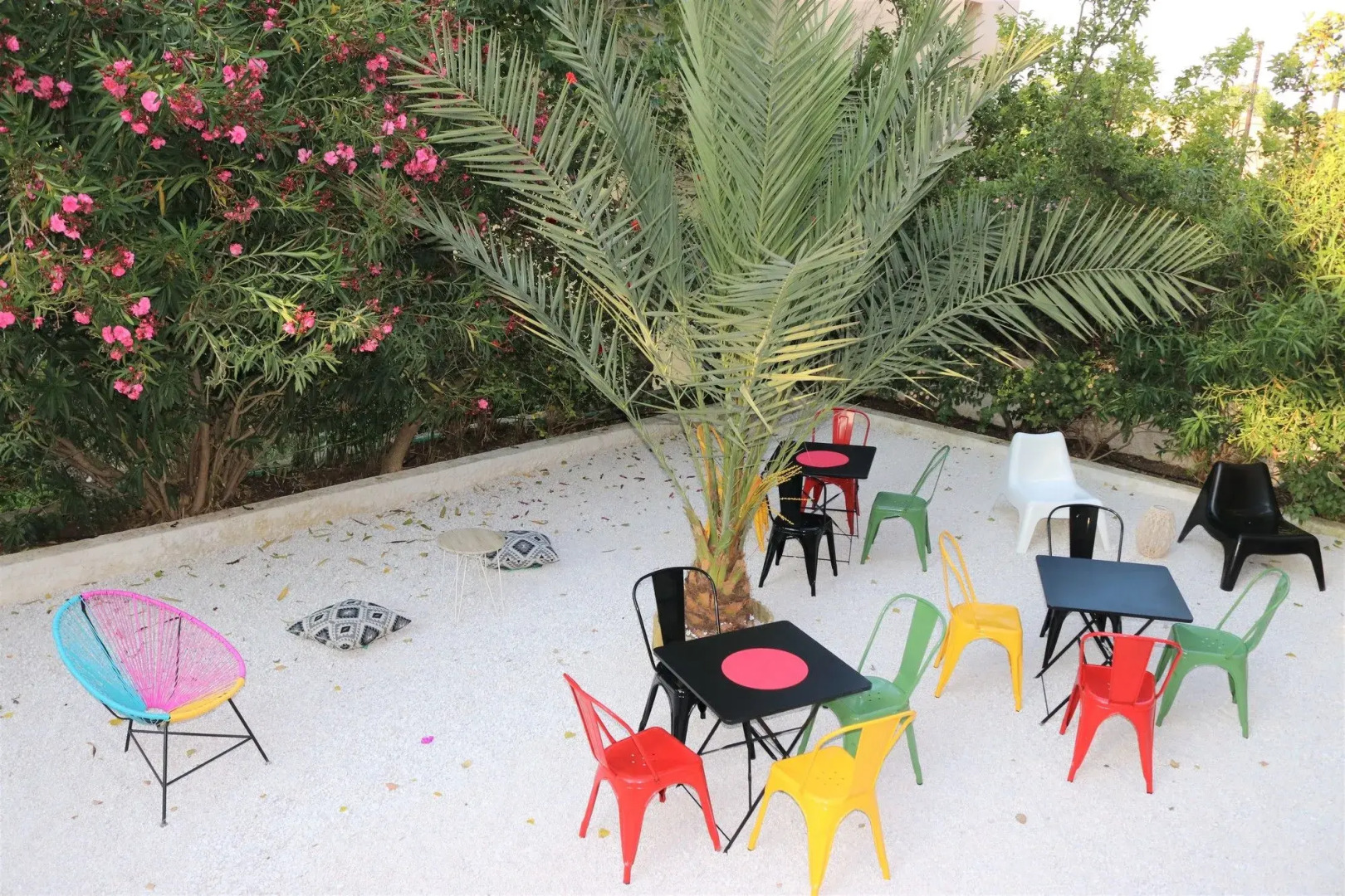 THE BONGOS - Socially Conscious Rooms, Part of the room rate goes to charity