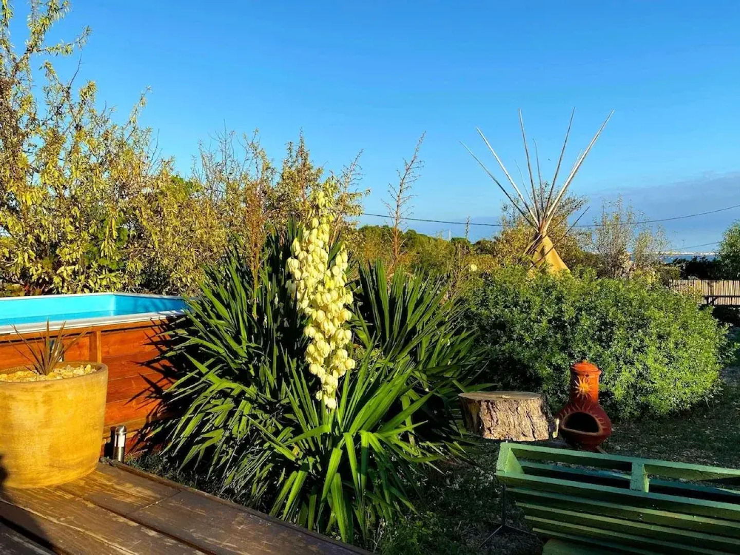 Tipi Lounge and breakfast