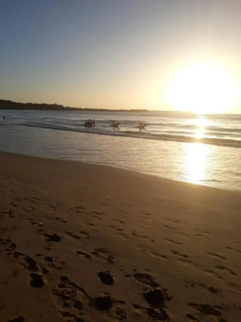 Tranquil guest House