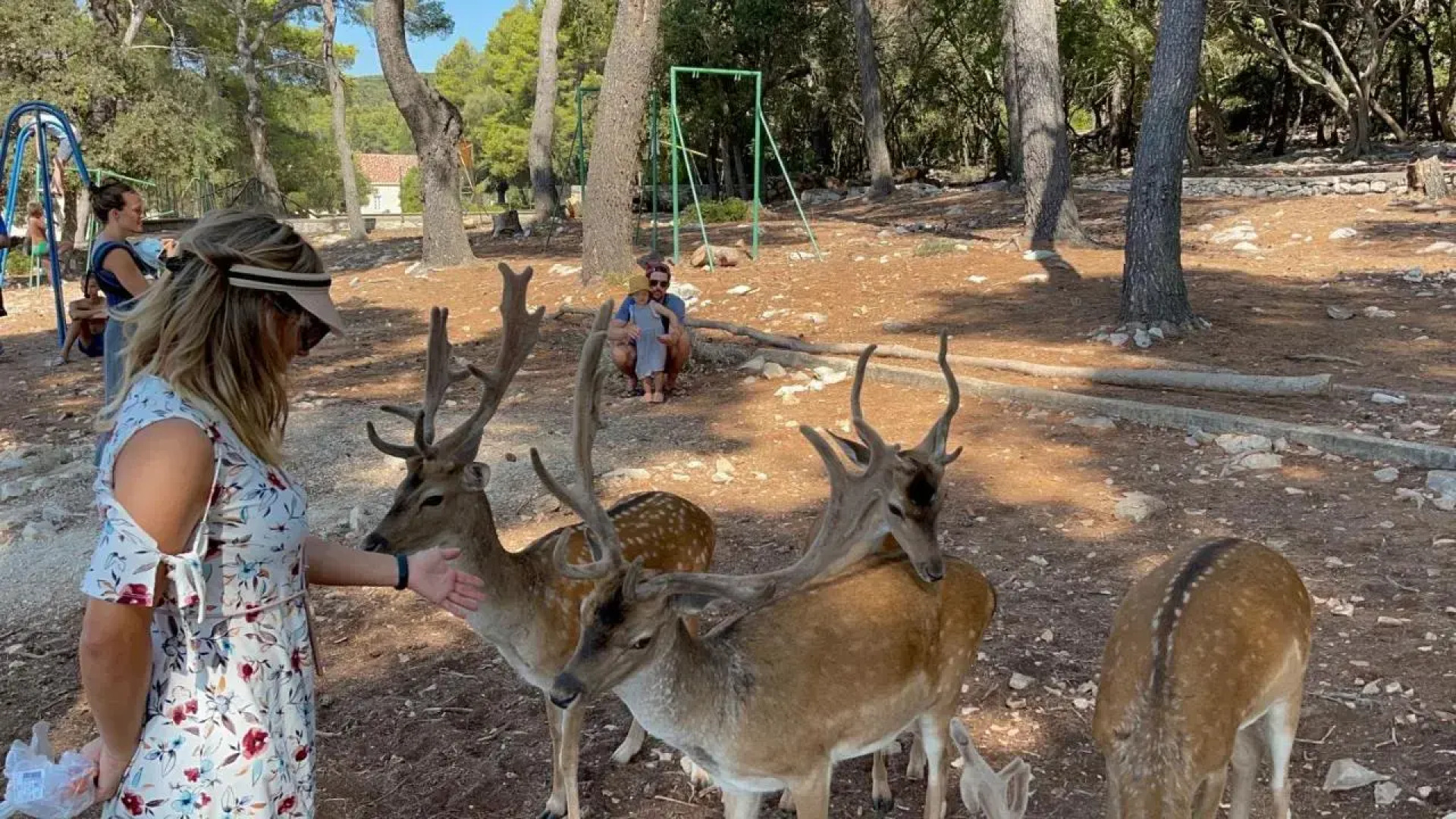 Gold & Silver Apartments