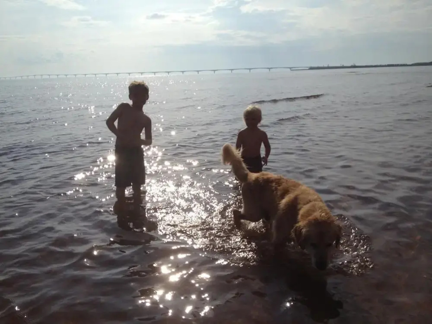 Amherst Cove Cottages