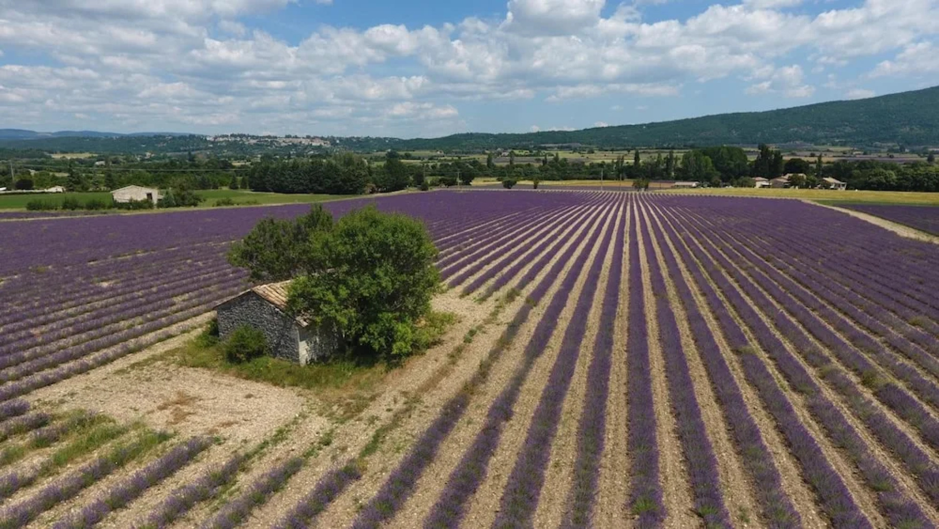 La Bastide des Bourguets
