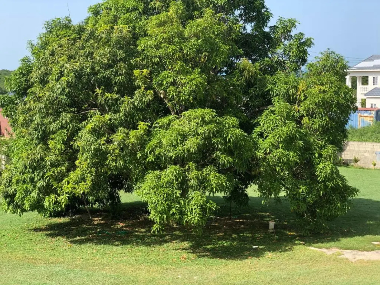 Star Castle Guest House