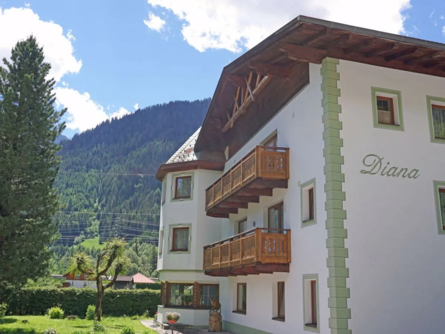 Apartment Diana Pettneu am Arlberg 30888