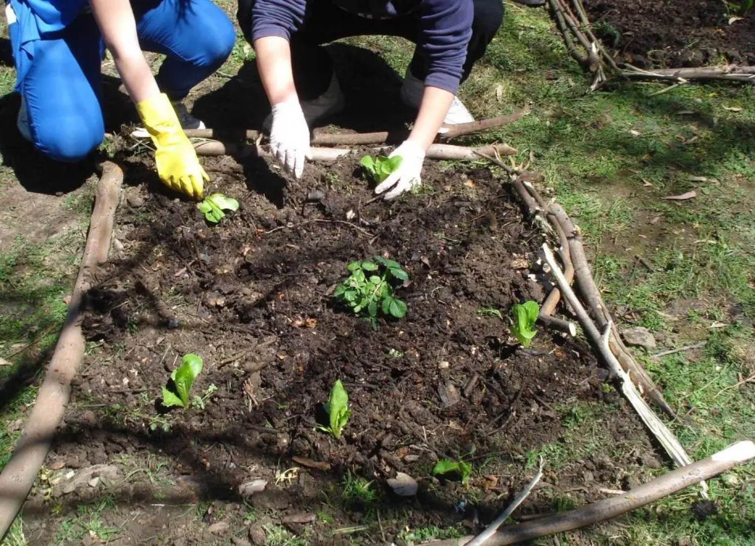 La Tenuta del Gentiluomo