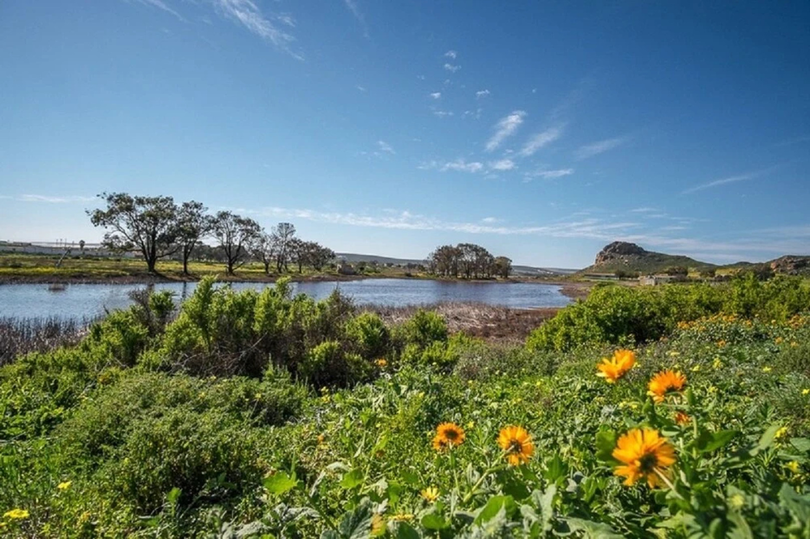 Fork West Apartments - Ground Floor 7