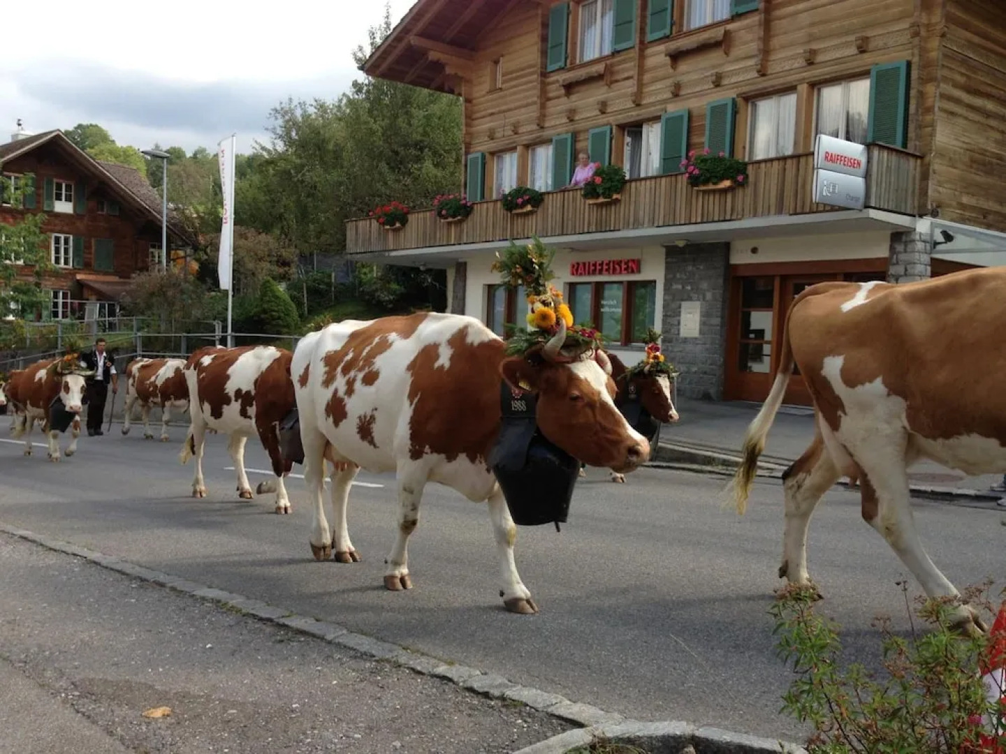 Hotel Bellevue Bären