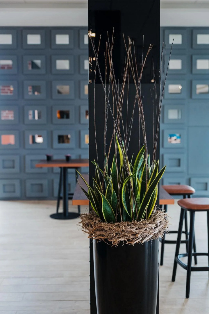 B&B Hotel Zürich Airport Rümlang