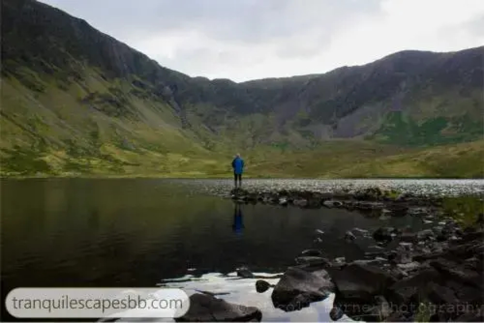 Tranquil Escapes B&B