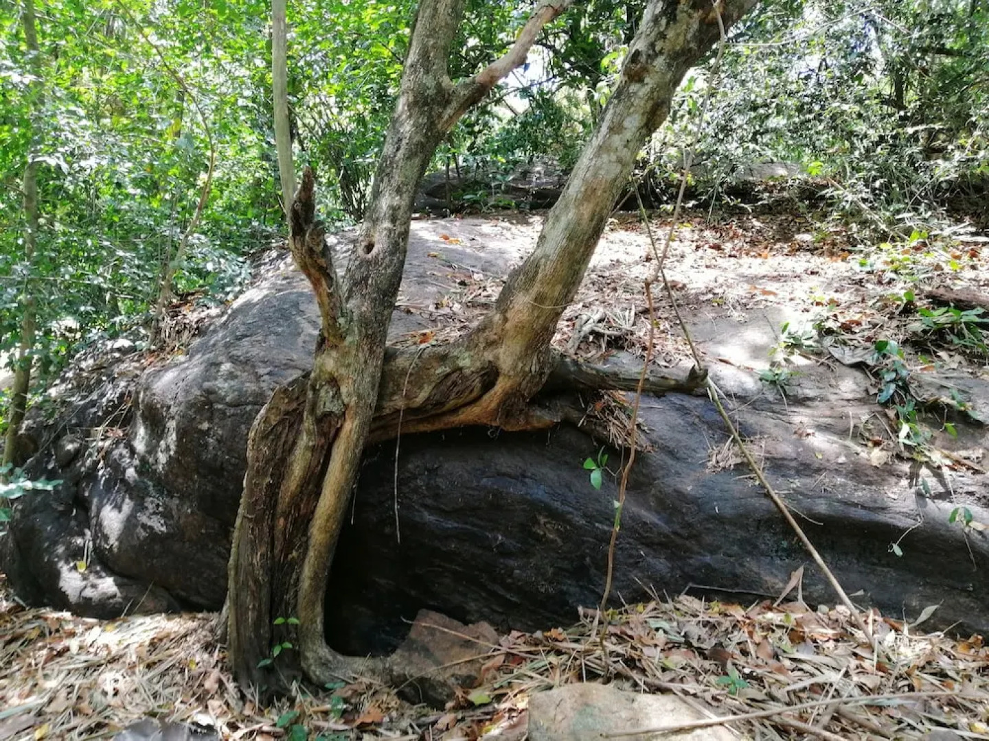 Silent Bungalow River Side