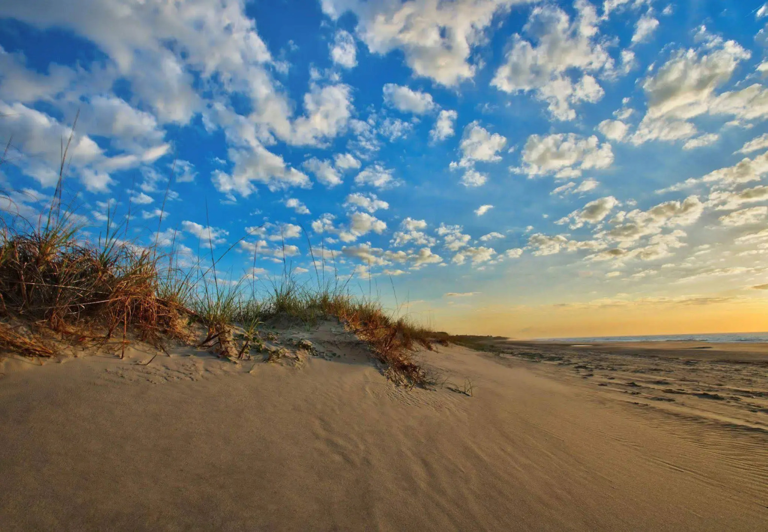 Marriott's SurfWatch