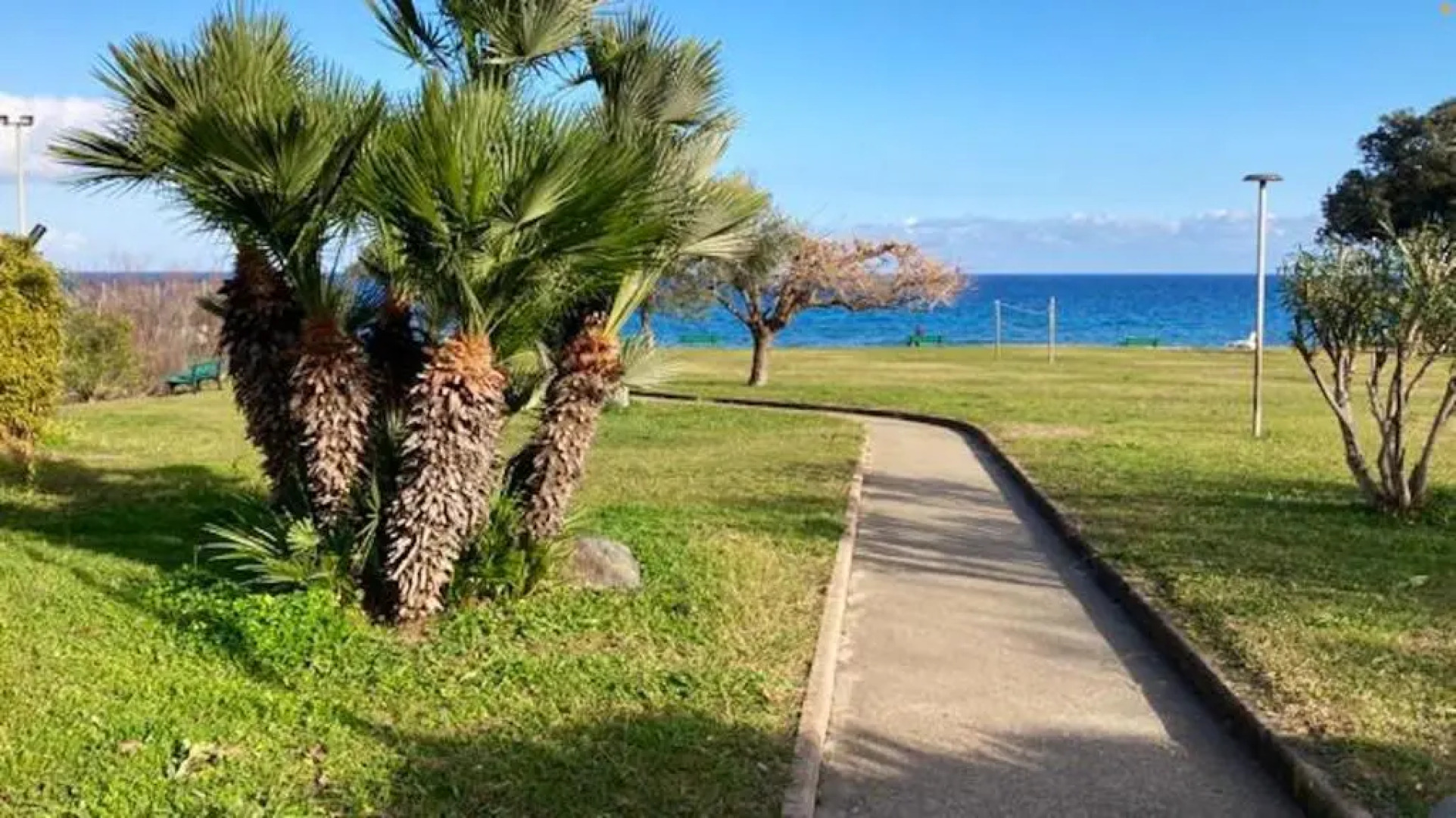 Studio avec piscine partagee terrasse amenagee et wifi a Cervione