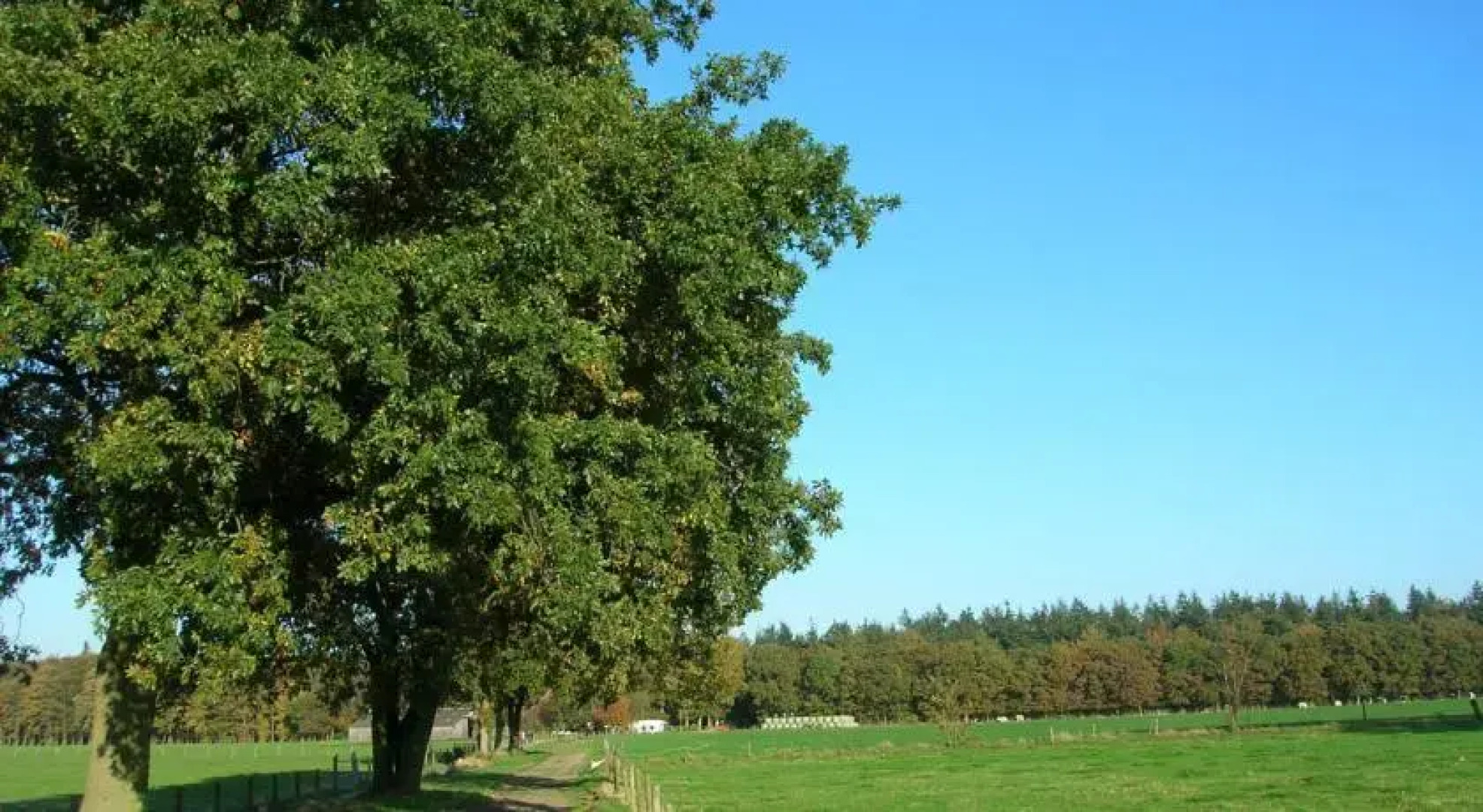 Forest Bungalow Karekiet