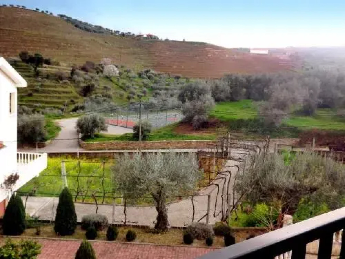 Casa Oliveiras do Douro