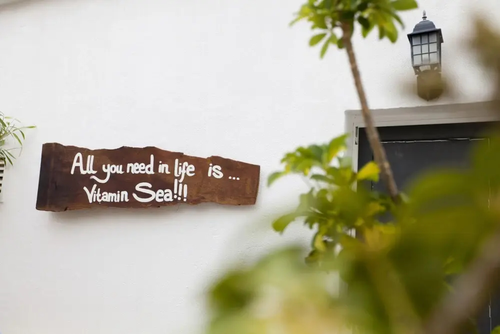 Amar Hostel, Suites & Surf Camp