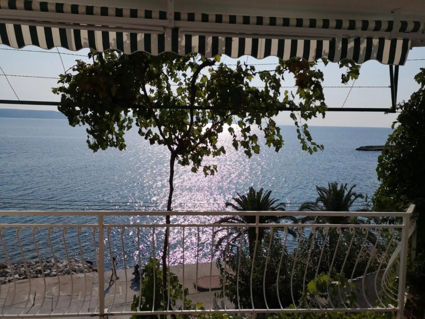 Sonja - by the sea - A1 Veliki