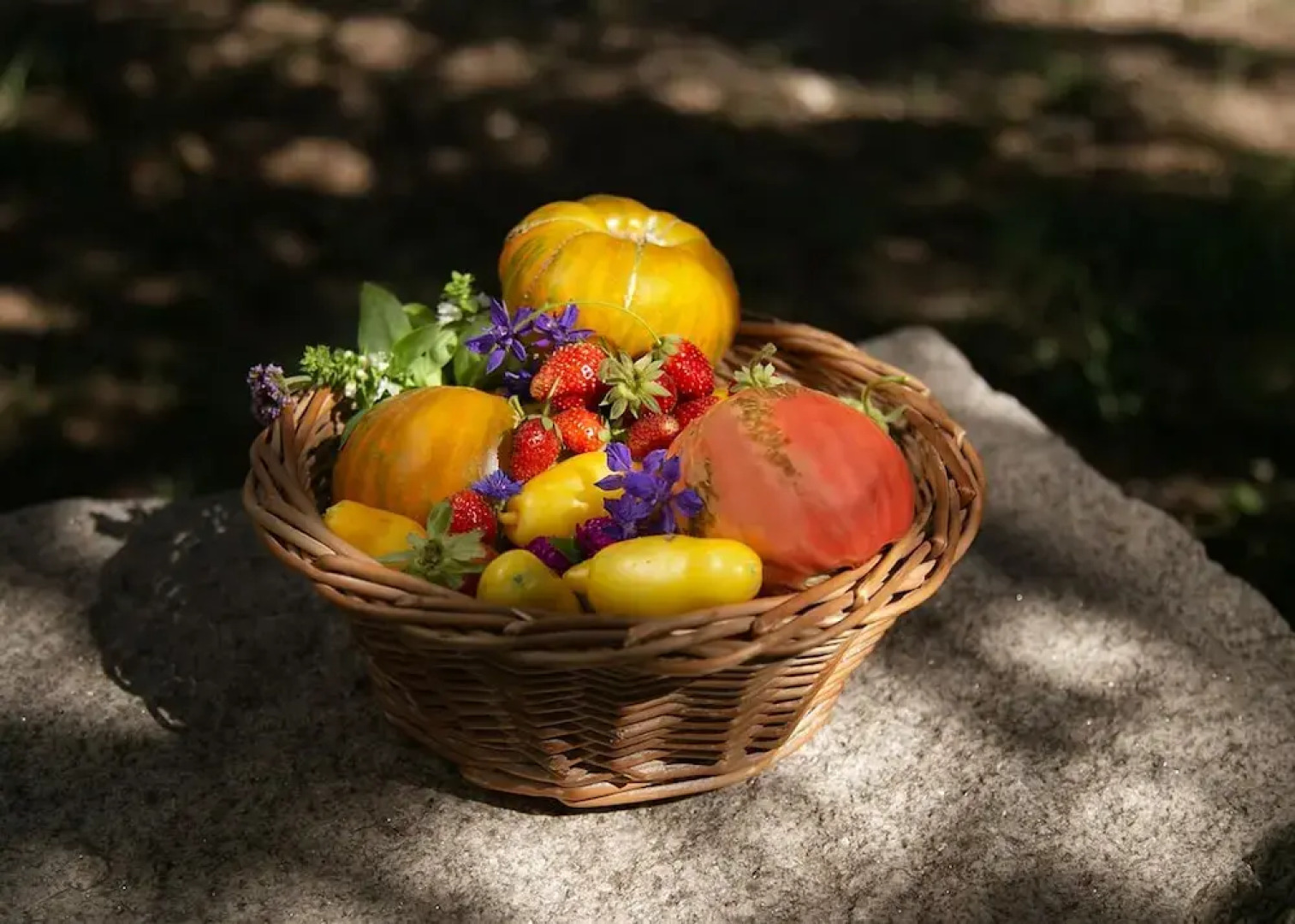 Posada Rural La Matilde