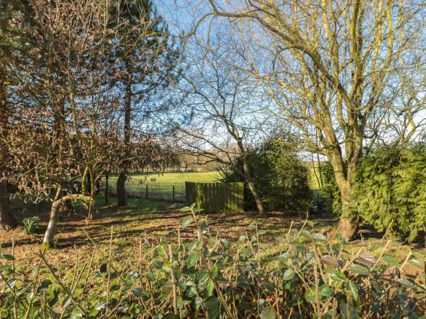 Little Robin - South Farm