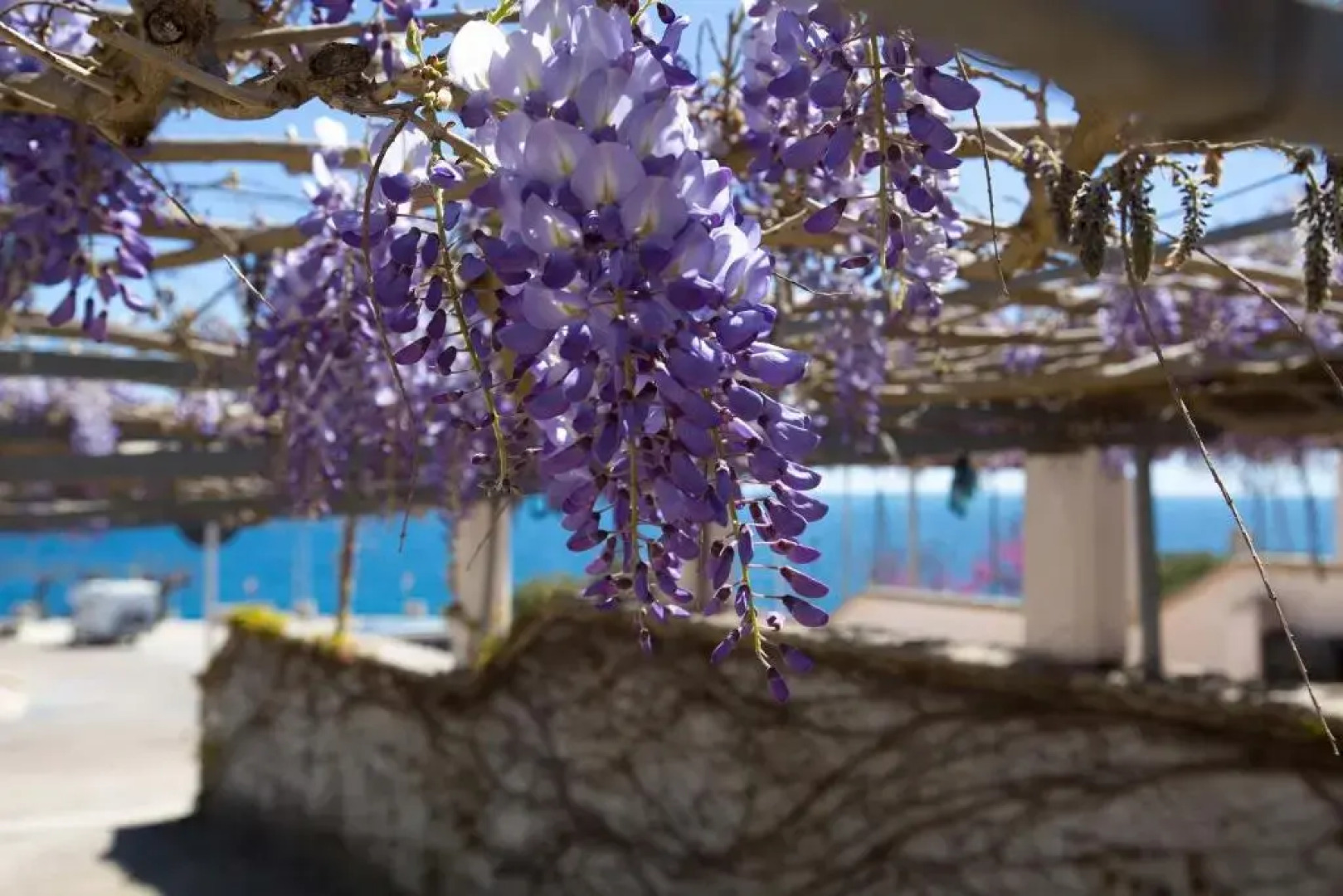 Casa Botte by BarbarHouse