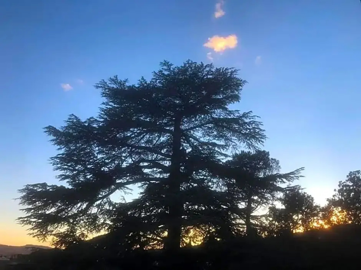 Suite Petite -Nice - SPA- JACUZZI -MASSAGE- SAUNA - POOL VIEW- Heated Pool 800m city centre