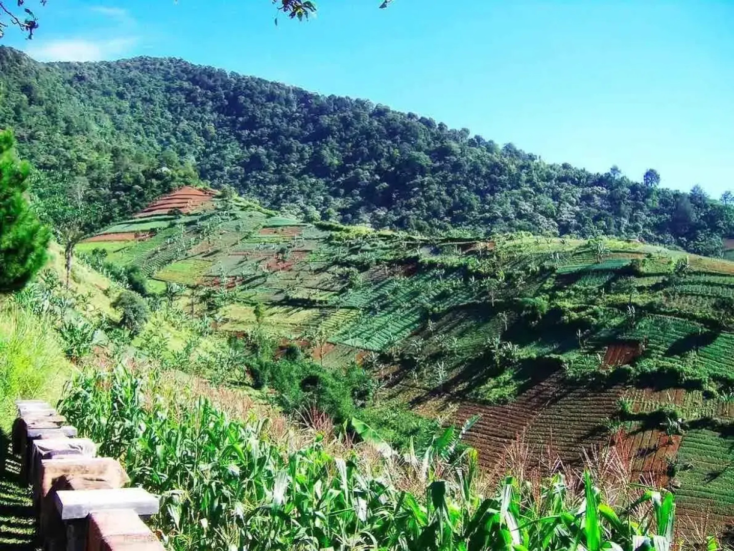 Talita Mountain Resort