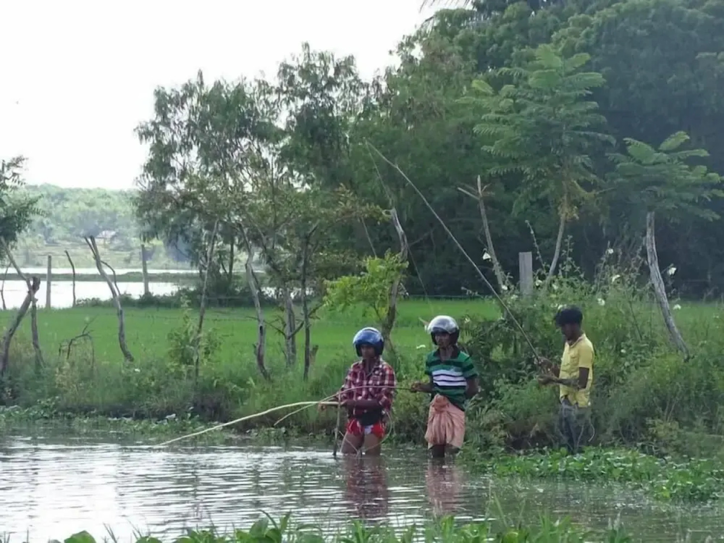 Hotel Grand Halabana