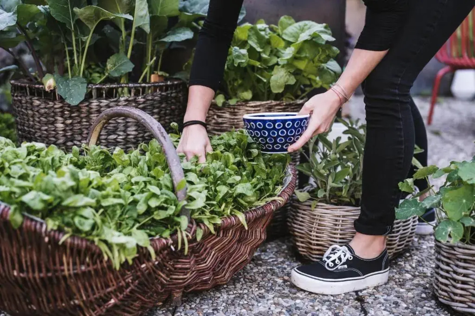 Alpenhotel Heimspitze
