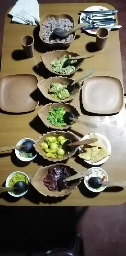 Rainforest Holiday Inn