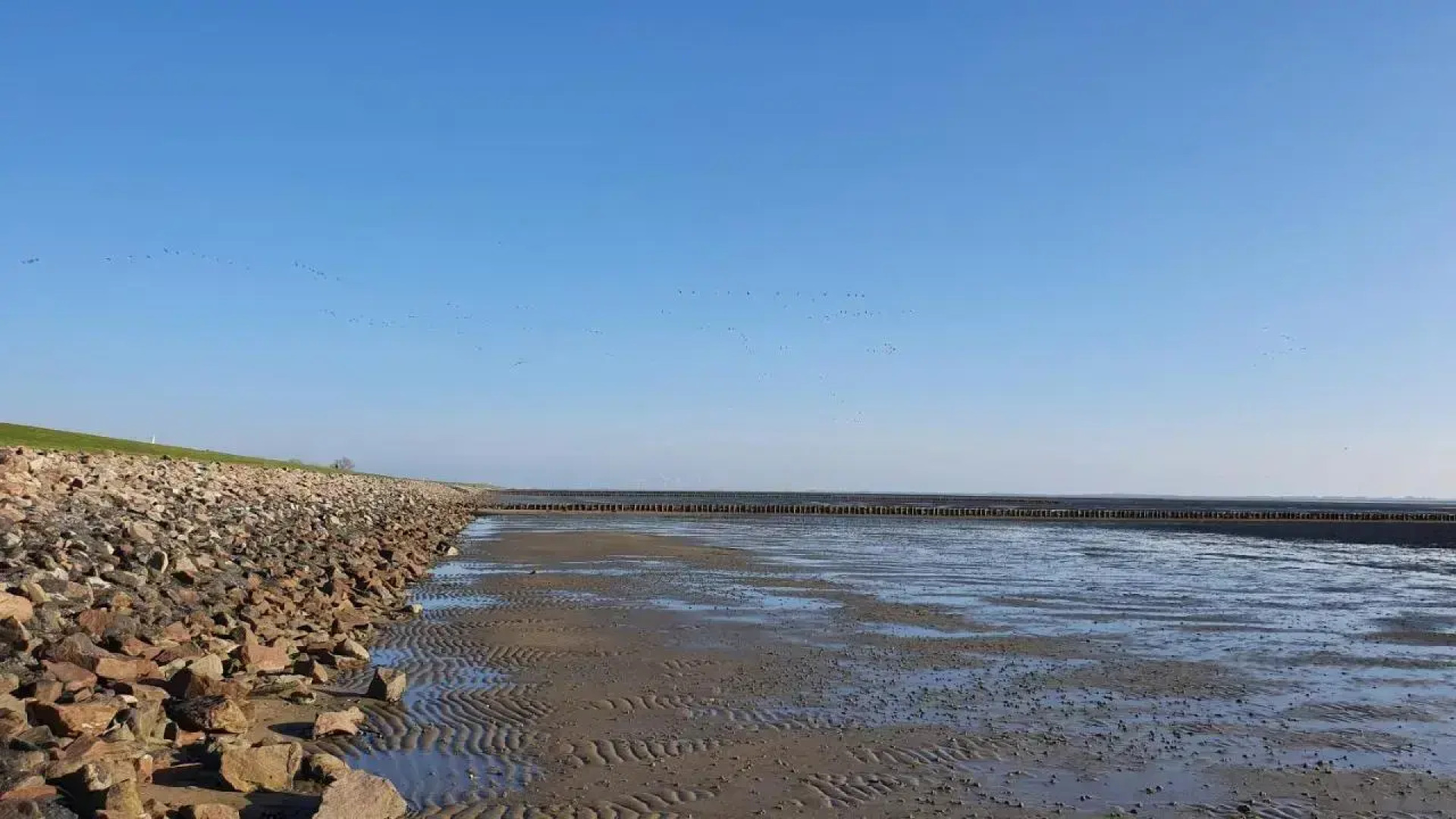 Reetdachhaus Moordeichperle