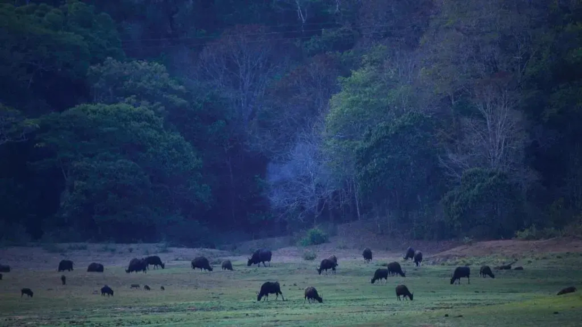 Holiday Inn Cochin by IHG