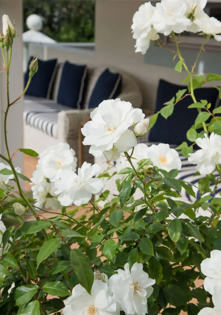 The Light House Boutique Suites