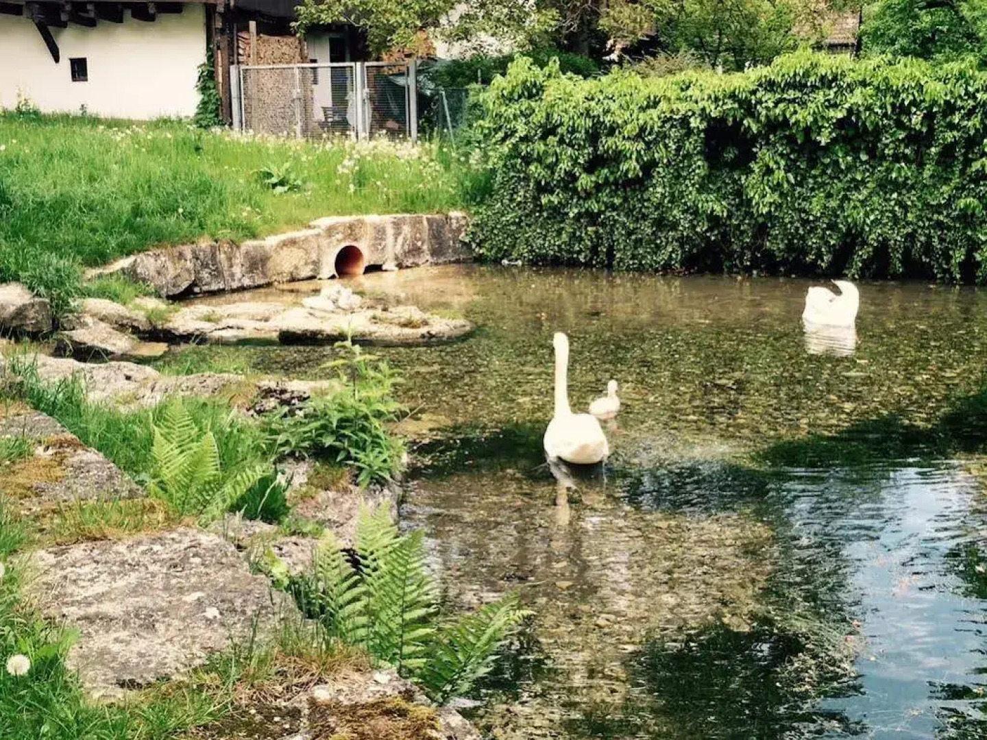 Hotel Gasthof Zum Bad