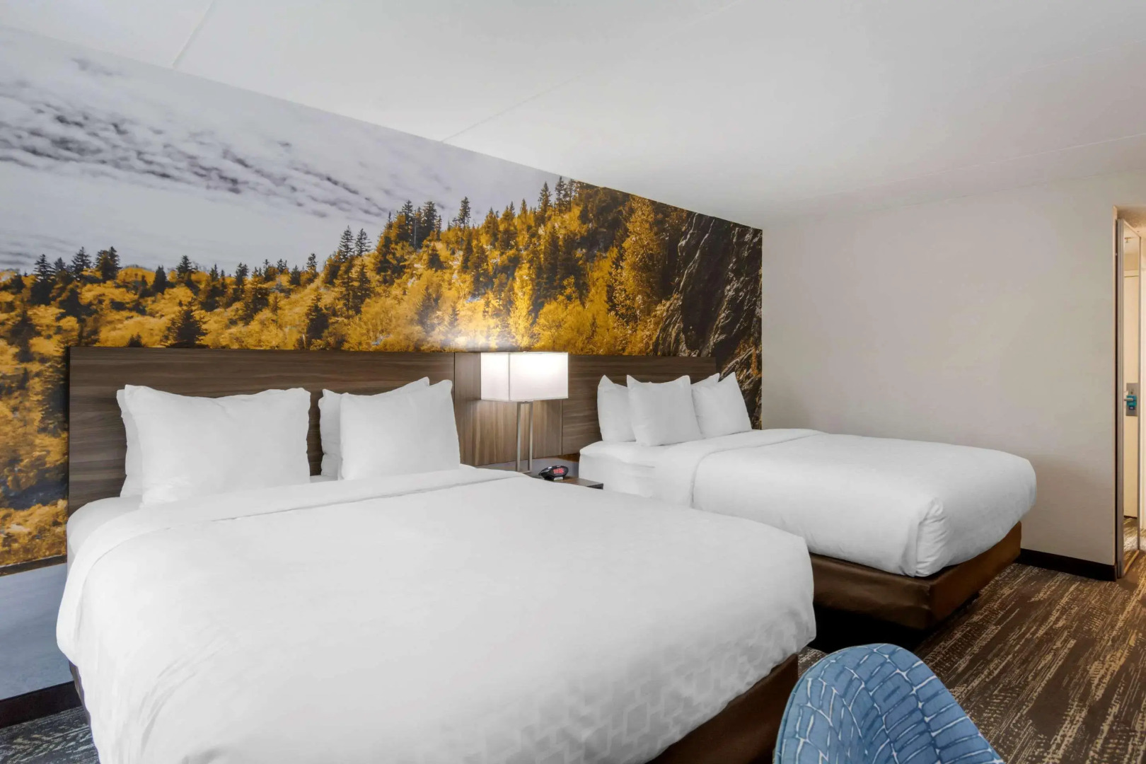 Comfort Inn University