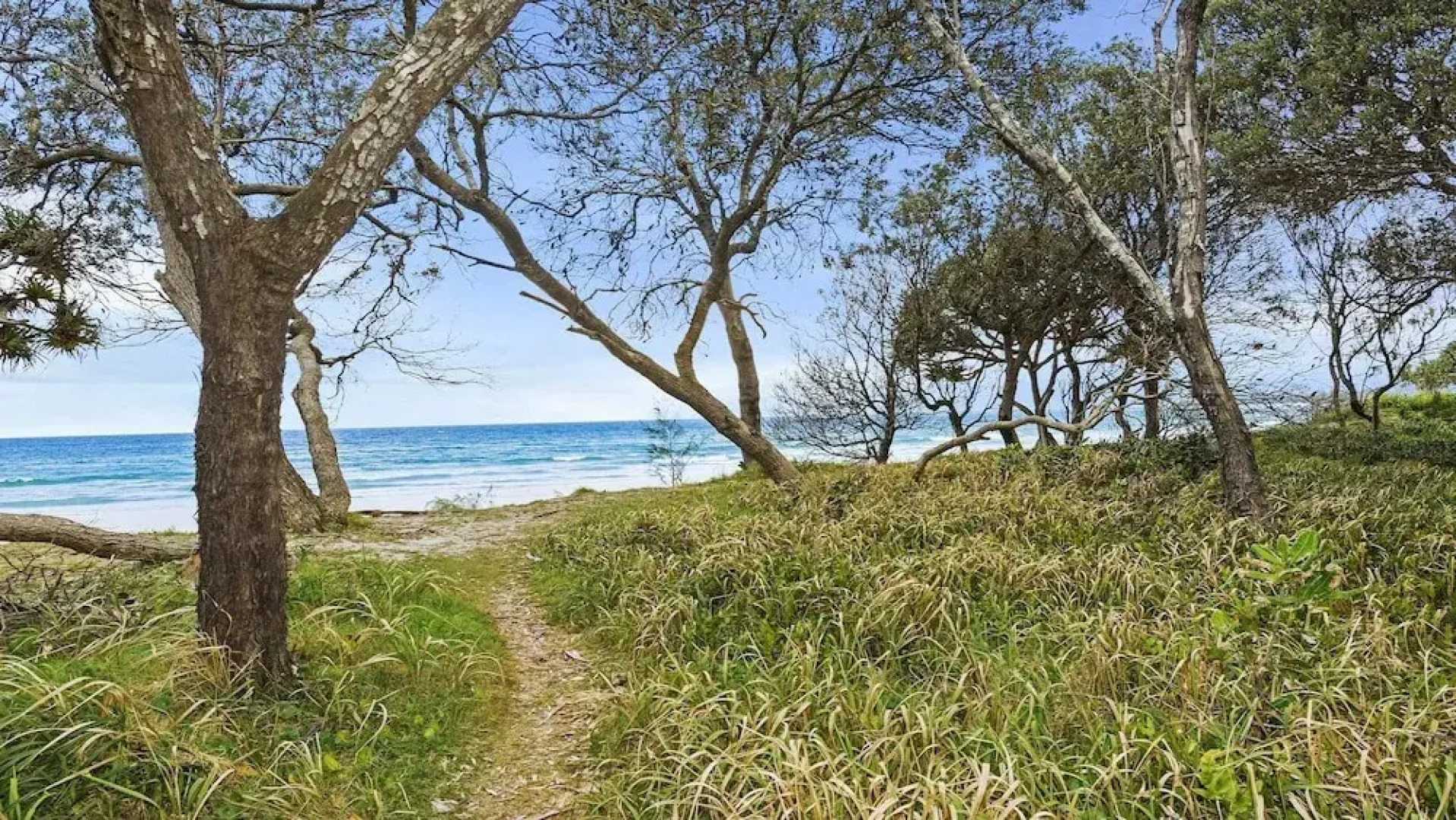 Surf Side Apartment 11