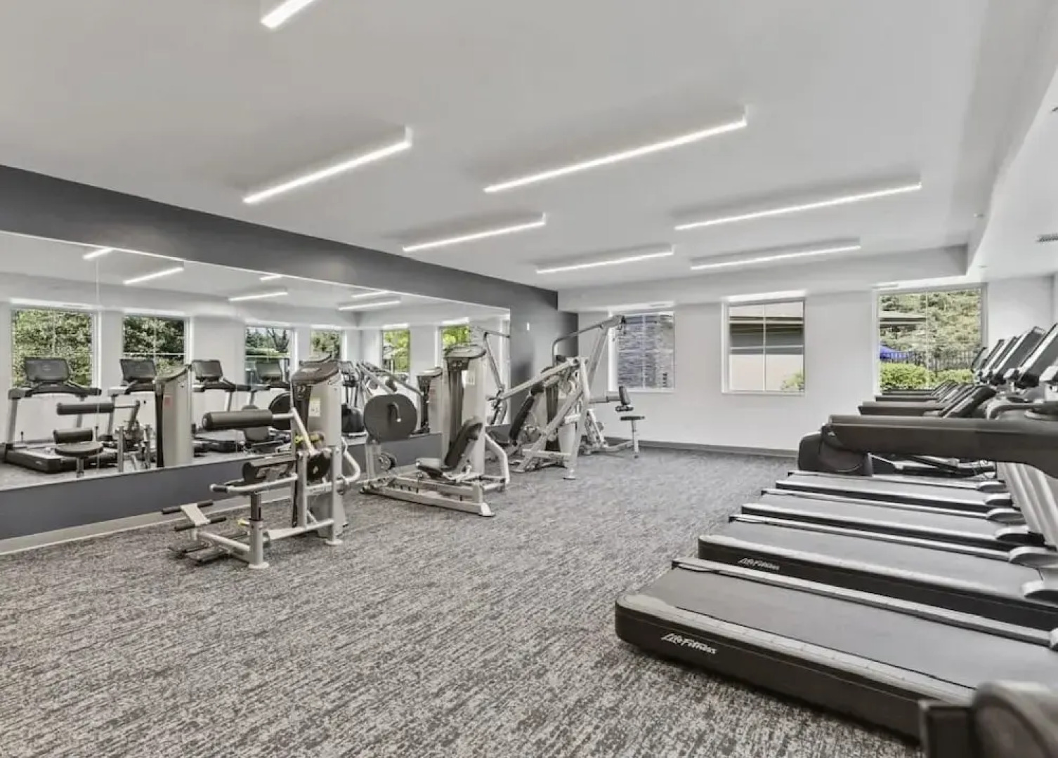 Serene Spring Retreat