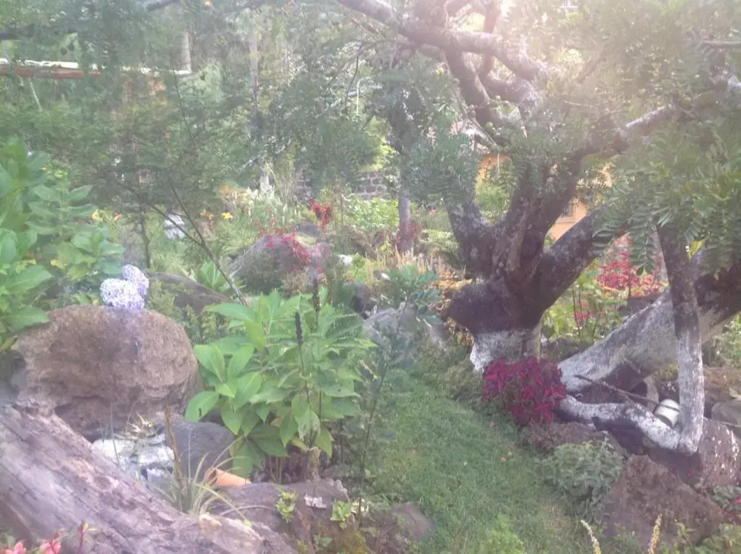 Hotel y Bungalows ecologicos Marcelo