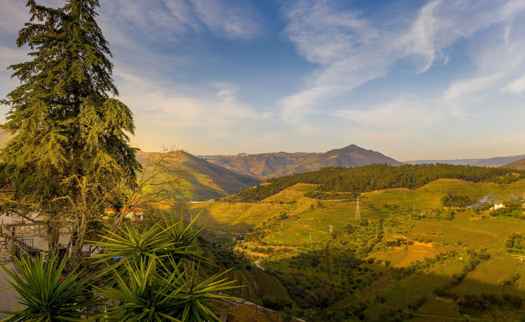Quinta da Portela Douro