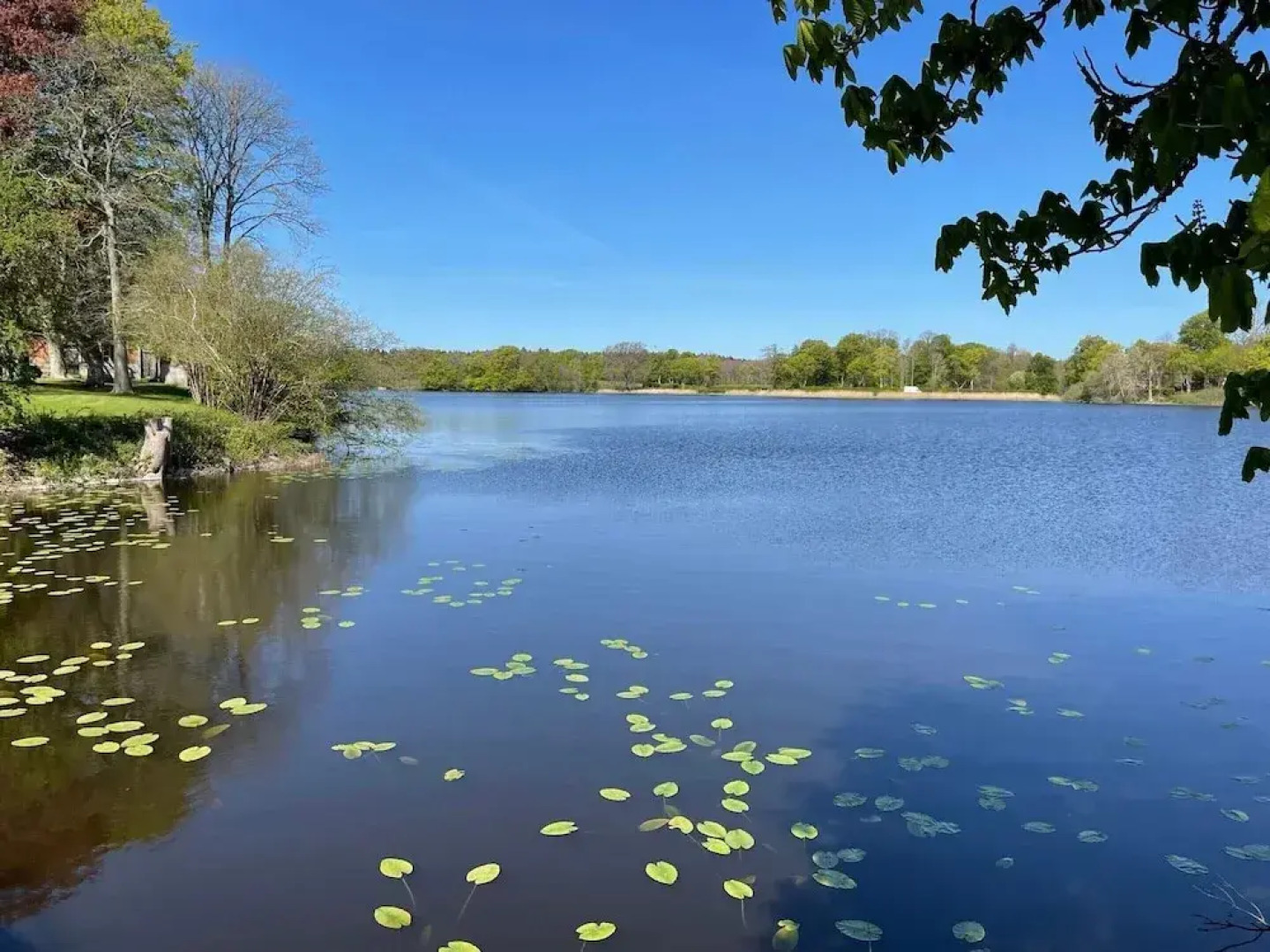 4 Star Holiday Home in Hollviken