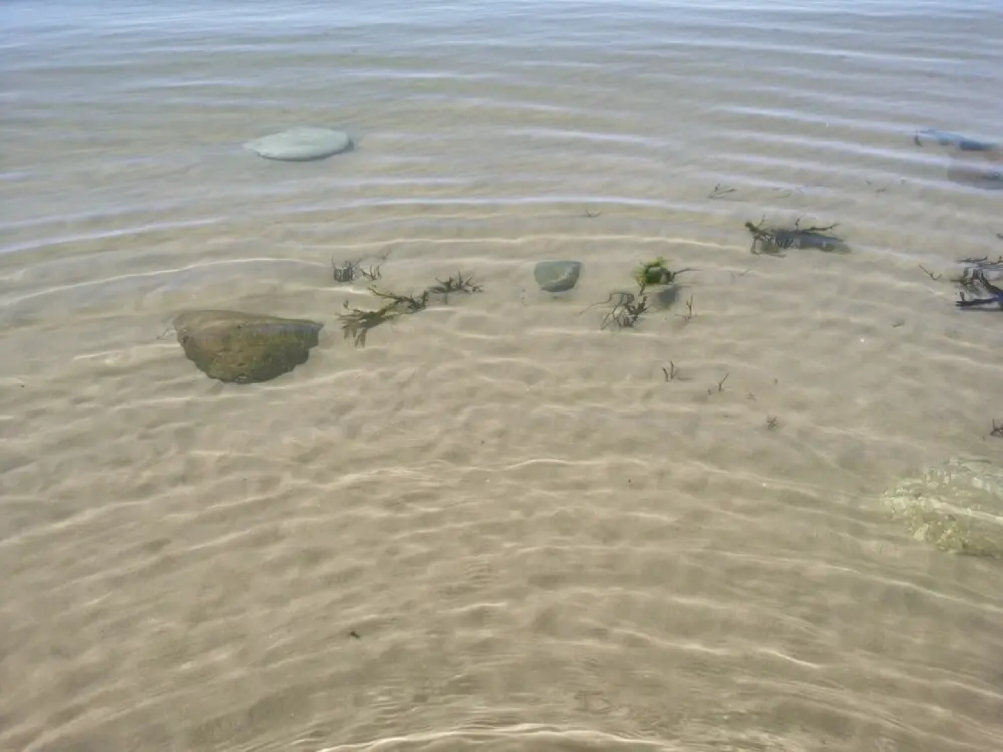 Sea and Mountain View Sunbeach Holiday Snowdonia