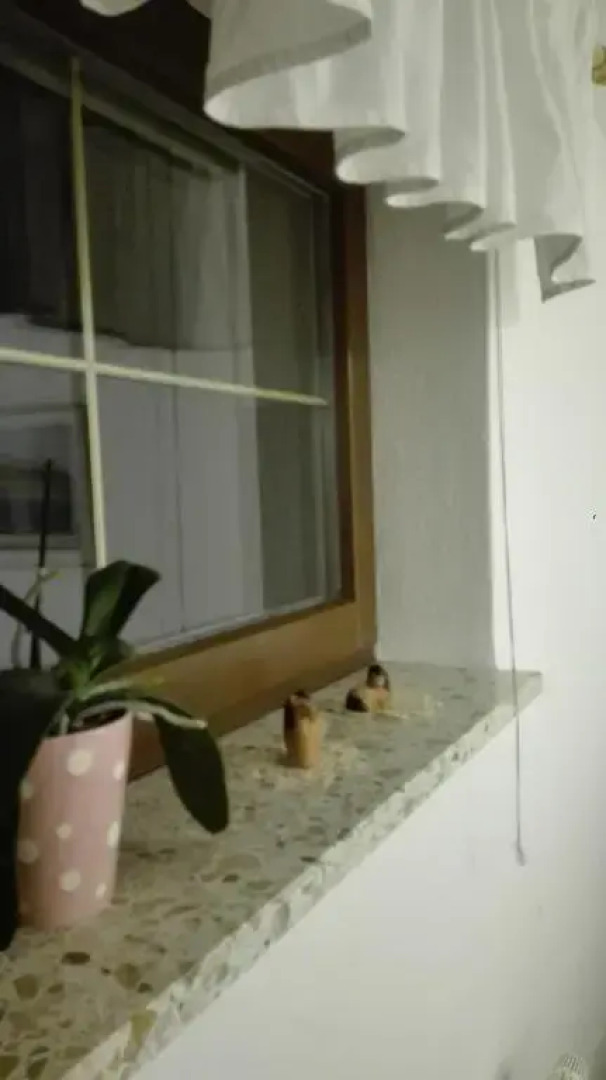 Gästezimmer Familie Müller