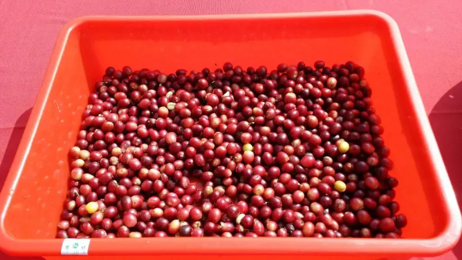 大湖底木屋民宿