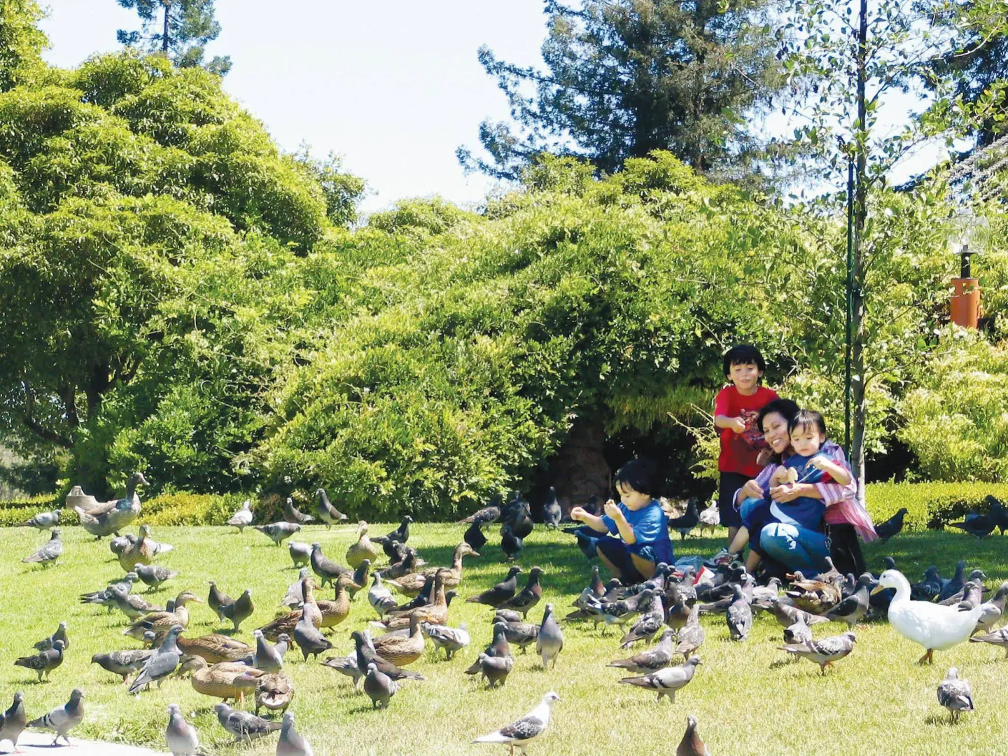 Best Western Inn Santa Clara