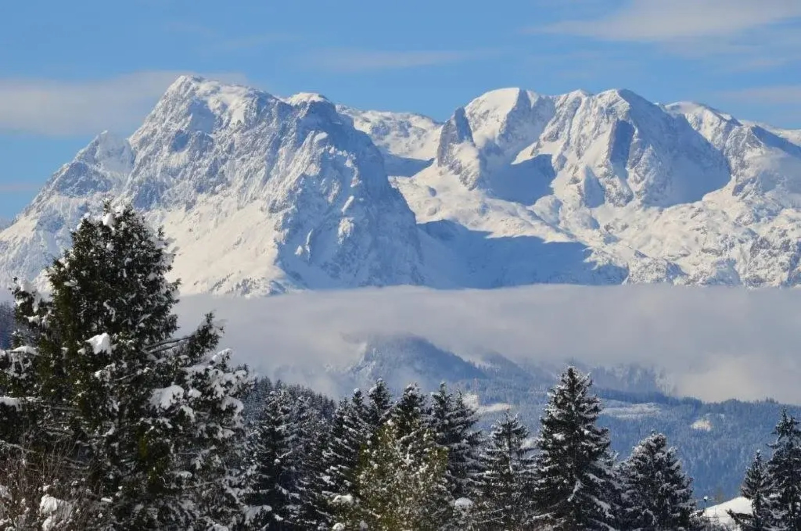 Appartement Althuber